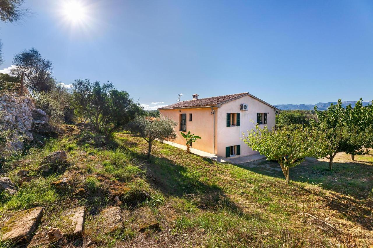 Villa Son Allarga Costitx  Bagian luar foto