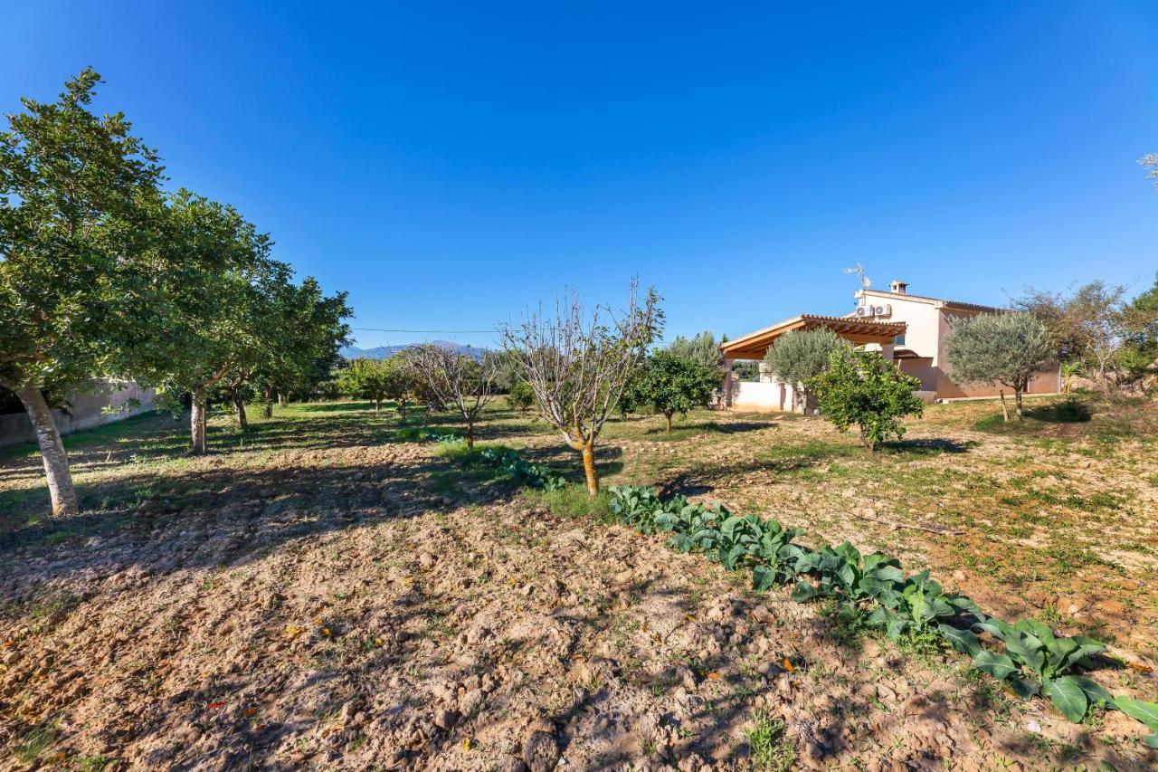 Villa Son Allarga Costitx  Bagian luar foto